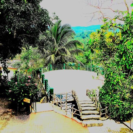 Rainforest Lodge, Deniyaya Singheraja المظهر الخارجي الصورة