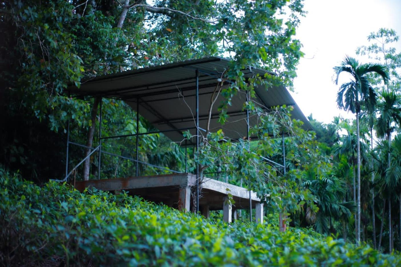 Rainforest Lodge, Deniyaya Singheraja المظهر الخارجي الصورة