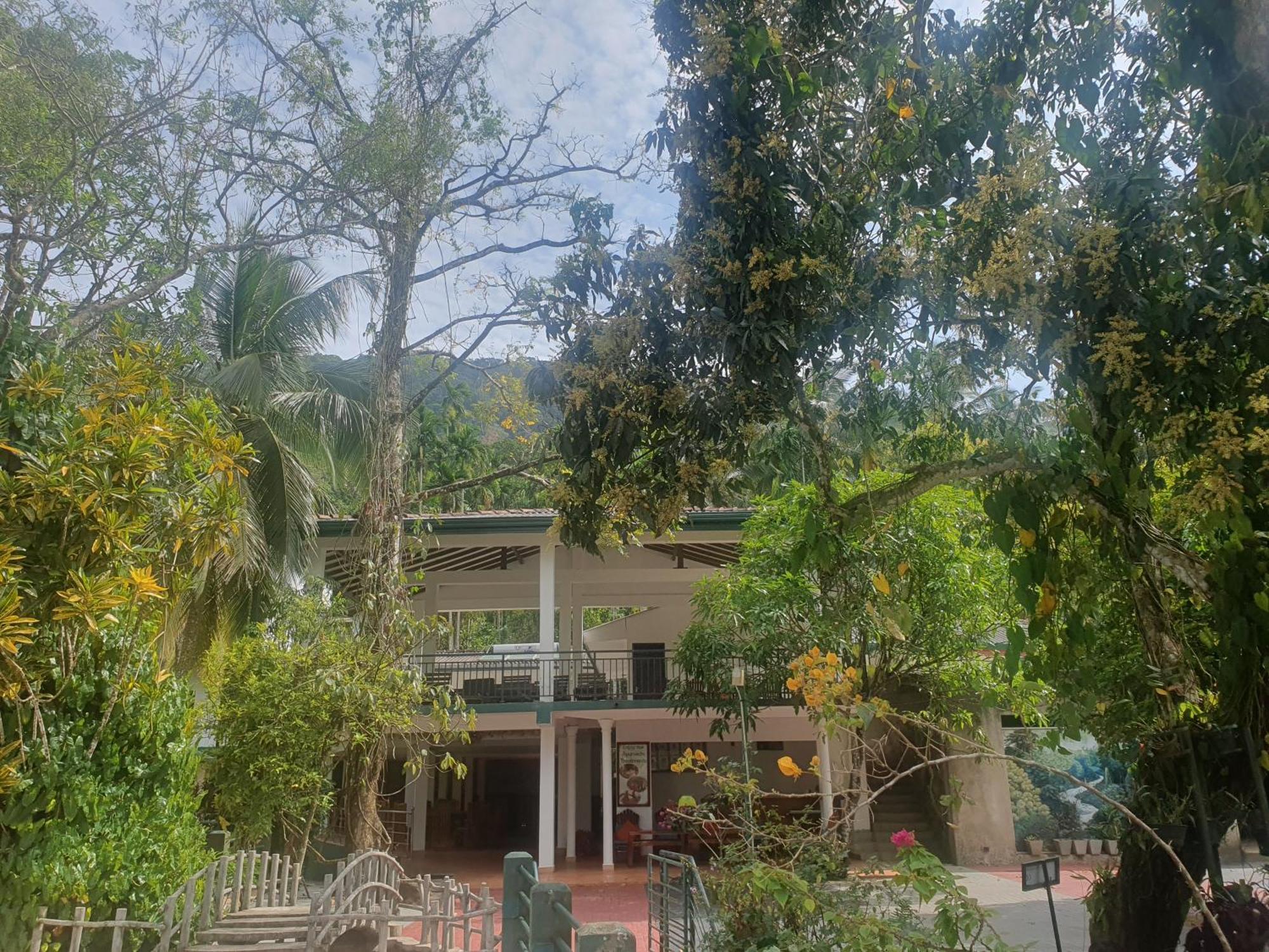 Rainforest Lodge, Deniyaya Singheraja المظهر الخارجي الصورة