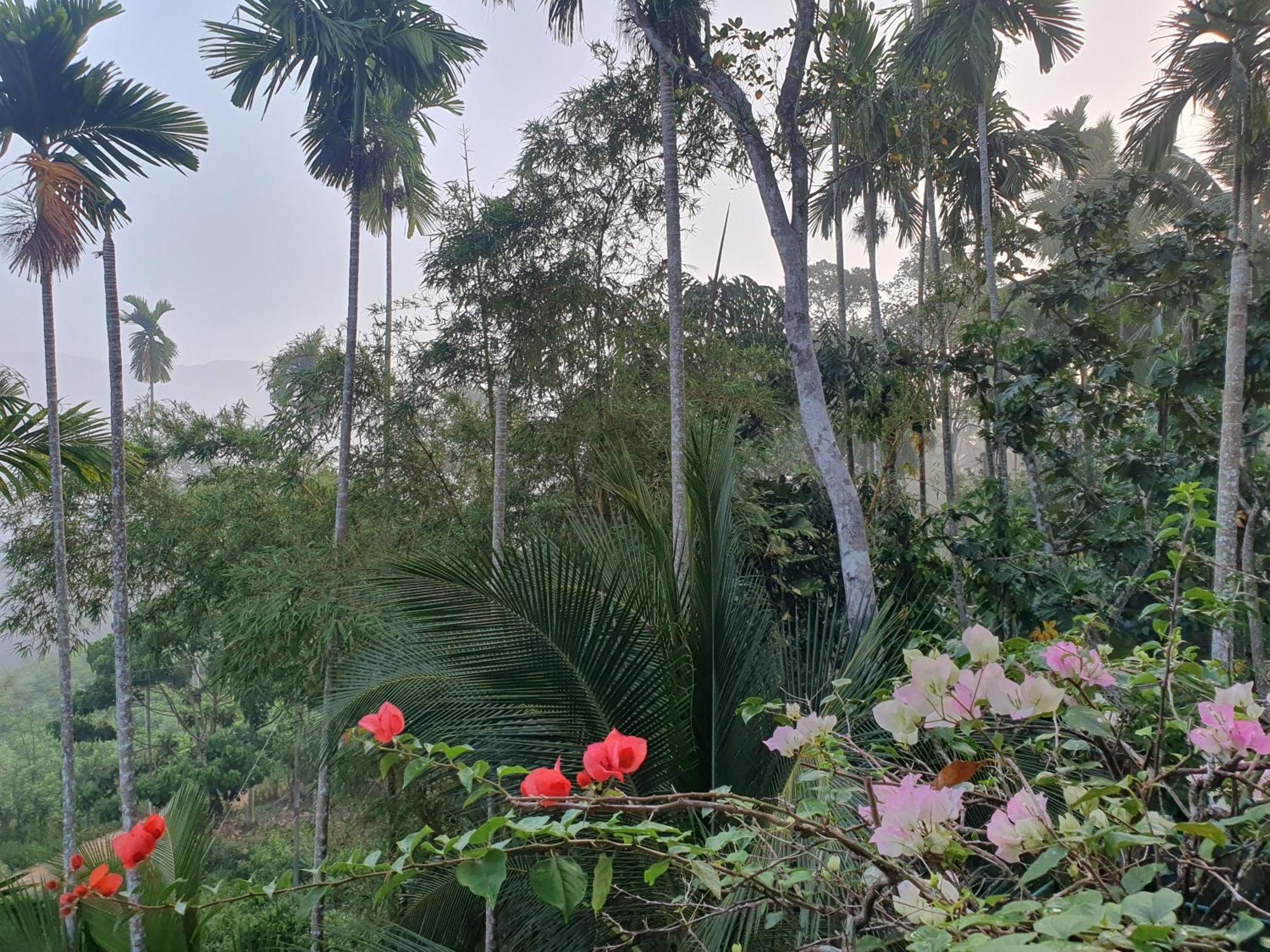 Rainforest Lodge, Deniyaya Singheraja المظهر الخارجي الصورة