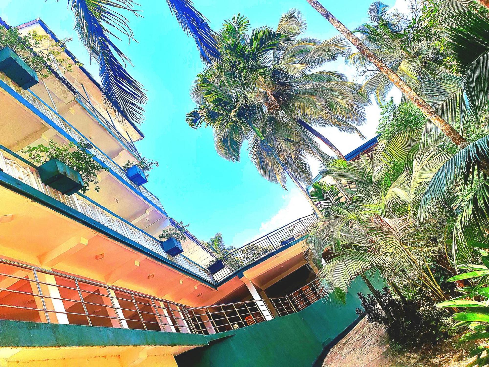 Rainforest Lodge, Deniyaya Singheraja المظهر الخارجي الصورة