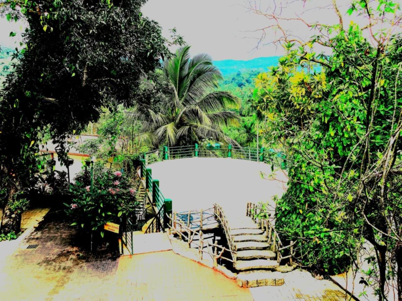 Rainforest Lodge, Deniyaya Singheraja المظهر الخارجي الصورة