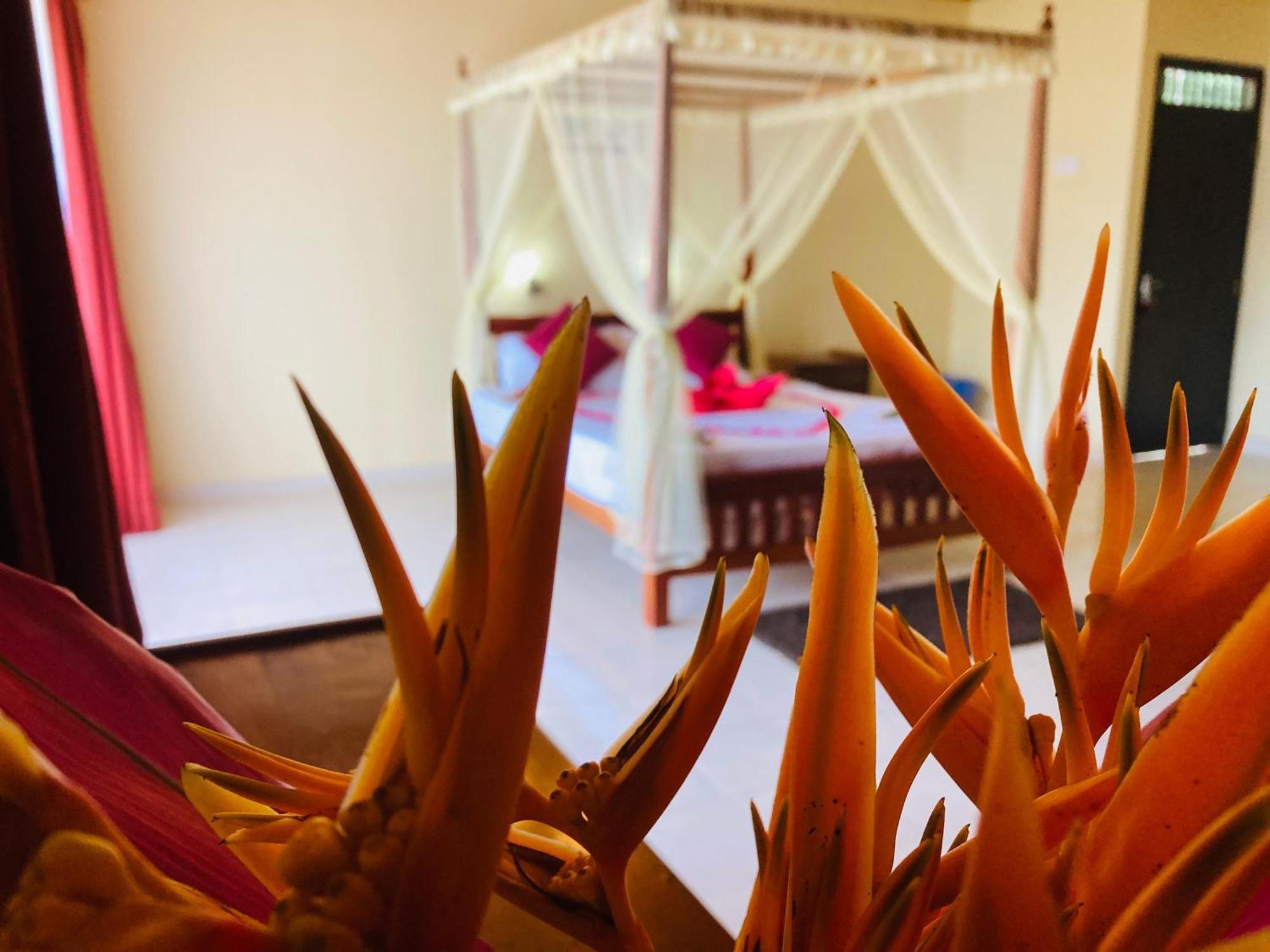 Rainforest Lodge, Deniyaya Singheraja المظهر الخارجي الصورة